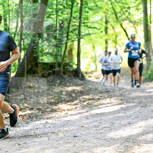 28.09.2025 - 33. Volkslauf durch das schöne Alstertal Dr. Thomas Lammeyer http://msf.ph/oto/8960553 28.09.2025 11:03:23 Laufen 3219 meine-sportfotos.de