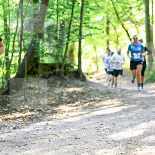 28.09.2025 - 33. Volkslauf durch das schöne Alstertal Dr. Thomas Lammeyer http://msf.ph/oto/8960554 28.09.2025 11:03:23 Laufen 219 meine-sportfotos.de