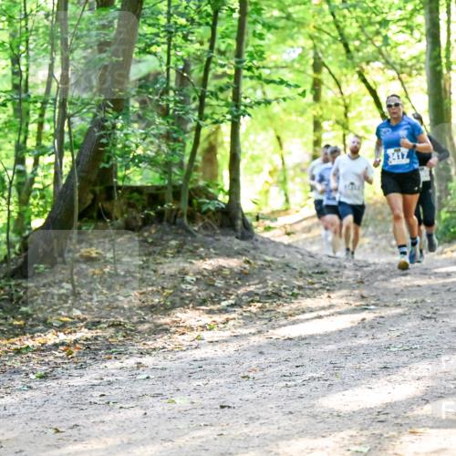 28.09.2025 - 33. Volkslauf durch das schöne Alstertal Dr. Thomas Lammeyer http://msf.ph/oto/8960556 28.09.2025 11:03:23 Laufen  meine-sportfotos.de