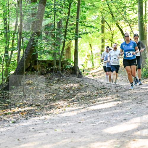 28.09.2025 - 33. Volkslauf durch das schöne Alstertal Dr. Thomas Lammeyer http://msf.ph/oto/8960557 28.09.2025 11:03:23 Laufen 3417, 369, 3419 meine-sportfotos.de