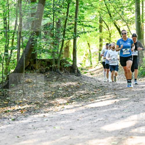 28.09.2025 - 33. Volkslauf durch das schöne Alstertal Dr. Thomas Lammeyer http://msf.ph/oto/8960558 28.09.2025 11:03:23 Laufen 3419, 3417, 3369 meine-sportfotos.de