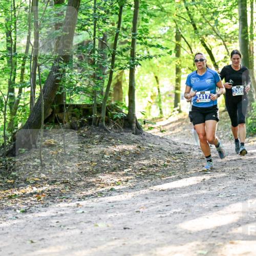 28.09.2025 - 33. Volkslauf durch das schöne Alstertal Dr. Thomas Lammeyer http://msf.ph/oto/8960562 28.09.2025 11:03:24 Laufen 3369, 3417 meine-sportfotos.de