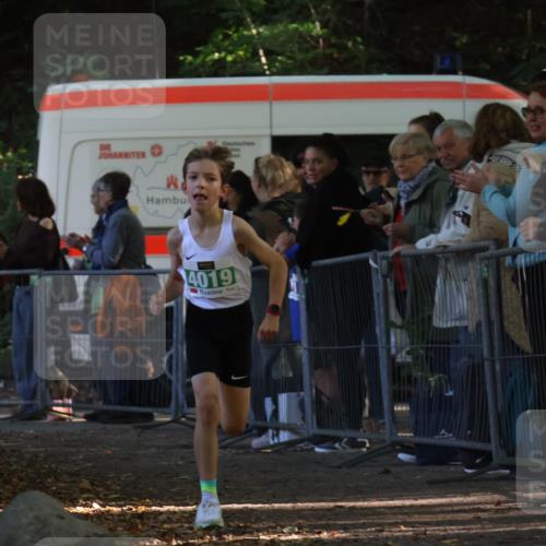 28.09.2025 - 33. Volkslauf durch das schöne Alstertal Strokosch-Dieckow http://msf.ph/oto/8960569 28.09.2025 10:50:06 Ziel 4019, 4161 meine-sportfotos.de