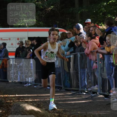 28.09.2025 - 33. Volkslauf durch das schöne Alstertal Strokosch-Dieckow http://msf.ph/oto/8960573 28.09.2025 10:50:07 Ziel 4019, 4161 meine-sportfotos.de