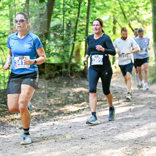 28.09.2025 - 33. Volkslauf durch das schöne Alstertal Dr. Thomas Lammeyer http://msf.ph/oto/8960574 28.09.2025 11:03:25 Laufen 341, 3369 meine-sportfotos.de