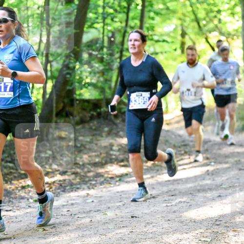 28.09.2025 - 33. Volkslauf durch das schöne Alstertal Dr. Thomas Lammeyer http://msf.ph/oto/8960575 28.09.2025 11:03:26 Laufen 3417, 3369 meine-sportfotos.de