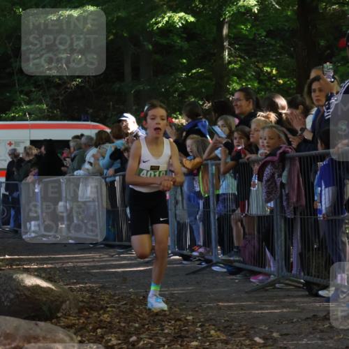 28.09.2025 - 33. Volkslauf durch das schöne Alstertal Strokosch-Dieckow http://msf.ph/oto/8960580 28.09.2025 10:50:07 Ziel 4019, 4161 meine-sportfotos.de