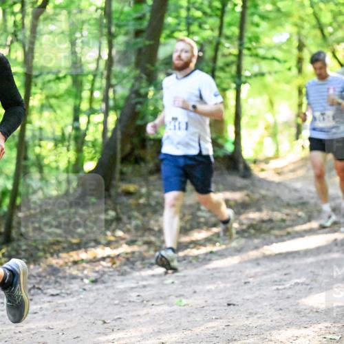 28.09.2025 - 33. Volkslauf durch das schöne Alstertal Dr. Thomas Lammeyer http://msf.ph/oto/8960581 28.09.2025 11:03:26 Laufen 3369, 8 meine-sportfotos.de
