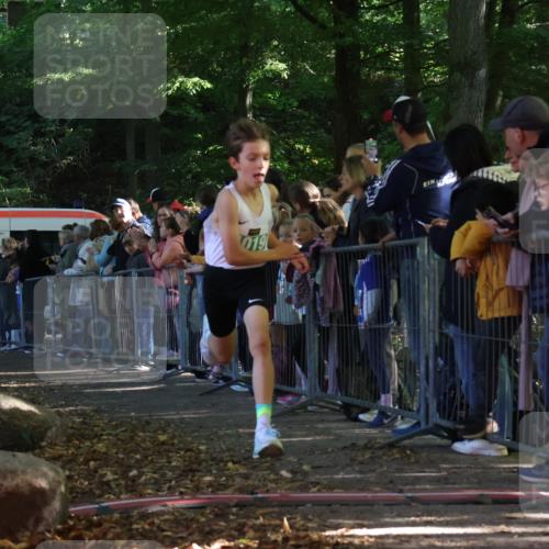 28.09.2025 - 33. Volkslauf durch das schöne Alstertal Strokosch-Dieckow http://msf.ph/oto/8960584 28.09.2025 10:50:08 Ziel 4019, 4161 meine-sportfotos.de