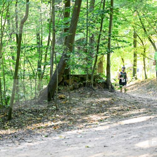 28.09.2025 - 33. Volkslauf durch das schöne Alstertal Dr. Thomas Lammeyer http://msf.ph/oto/8960588 28.09.2025 11:03:32 Laufen 3078 meine-sportfotos.de