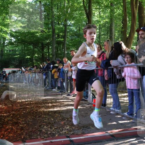 28.09.2025 - 33. Volkslauf durch das schöne Alstertal Strokosch-Dieckow http://msf.ph/oto/8960596 28.09.2025 10:50:09 Ziel 4019, 4161 meine-sportfotos.de
