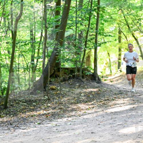 28.09.2025 - 33. Volkslauf durch das schöne Alstertal Dr. Thomas Lammeyer http://msf.ph/oto/8960632 28.09.2025 11:03:48 Laufen 3076 meine-sportfotos.de