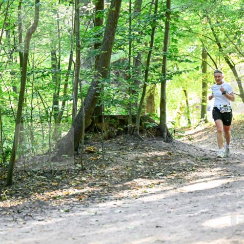 28.09.2025 - 33. Volkslauf durch das schöne Alstertal Dr. Thomas Lammeyer http://msf.ph/oto/8960633 28.09.2025 11:03:48 Laufen 3076 meine-sportfotos.de