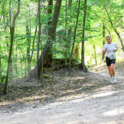 28.09.2025 - 33. Volkslauf durch das schöne Alstertal Dr. Thomas Lammeyer http://msf.ph/oto/8960635 28.09.2025 11:03:48 Laufen 3076 meine-sportfotos.de