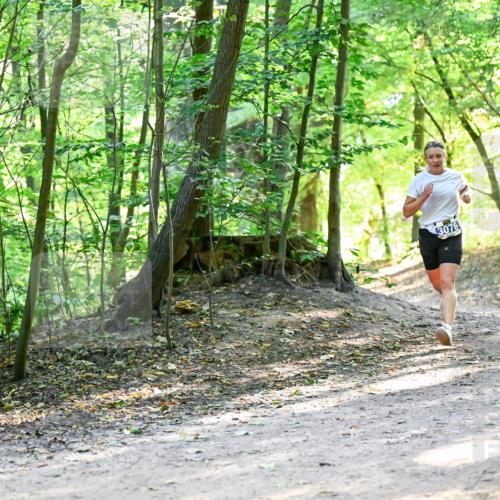 28.09.2025 - 33. Volkslauf durch das schöne Alstertal Dr. Thomas Lammeyer http://msf.ph/oto/8960636 28.09.2025 11:03:48 Laufen 3076 meine-sportfotos.de