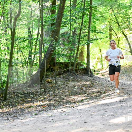 28.09.2025 - 33. Volkslauf durch das schöne Alstertal Dr. Thomas Lammeyer http://msf.ph/oto/8960638 28.09.2025 11:03:48 Laufen 3076 meine-sportfotos.de