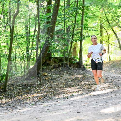 28.09.2025 - 33. Volkslauf durch das schöne Alstertal Dr. Thomas Lammeyer http://msf.ph/oto/8960641 28.09.2025 11:03:49 Laufen 3076 meine-sportfotos.de