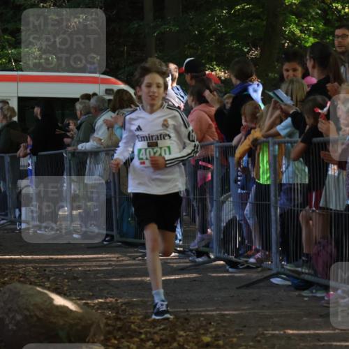 28.09.2025 - 33. Volkslauf durch das schöne Alstertal Strokosch-Dieckow http://msf.ph/oto/8960659 28.09.2025 10:50:26 Ziel 4020, 4021, 4022 meine-sportfotos.de