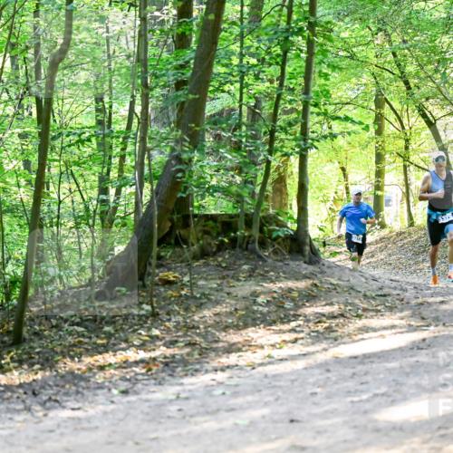 28.09.2025 - 33. Volkslauf durch das schöne Alstertal Dr. Thomas Lammeyer http://msf.ph/oto/8960660 28.09.2025 11:03:55 Laufen  meine-sportfotos.de