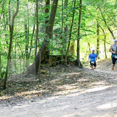 28.09.2025 - 33. Volkslauf durch das schöne Alstertal Dr. Thomas Lammeyer http://msf.ph/oto/8960661 28.09.2025 11:03:55 Laufen 3373, 3375 meine-sportfotos.de