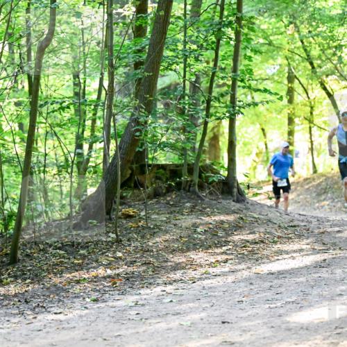 28.09.2025 - 33. Volkslauf durch das schöne Alstertal Dr. Thomas Lammeyer http://msf.ph/oto/8960663 28.09.2025 11:03:55 Laufen  meine-sportfotos.de