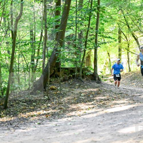 28.09.2025 - 33. Volkslauf durch das schöne Alstertal Dr. Thomas Lammeyer http://msf.ph/oto/8960664 28.09.2025 11:03:56 Laufen 3373, 3375 meine-sportfotos.de