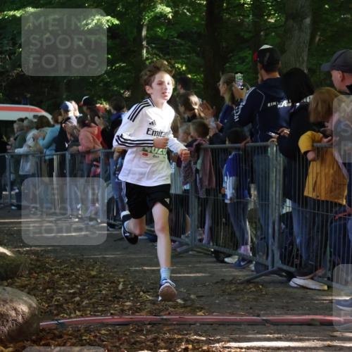 28.09.2025 - 33. Volkslauf durch das schöne Alstertal Strokosch-Dieckow http://msf.ph/oto/8960665 28.09.2025 10:50:27 Ziel 4020, 4021, 4022, 4146, 4164 meine-sportfotos.de