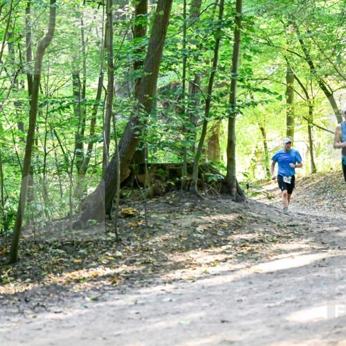 28.09.2025 - 33. Volkslauf durch das schöne Alstertal Dr. Thomas Lammeyer http://msf.ph/oto/8960666 28.09.2025 11:03:56 Laufen 3373 meine-sportfotos.de