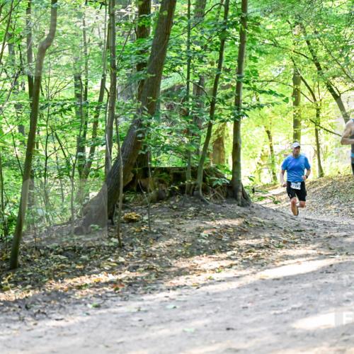28.09.2025 - 33. Volkslauf durch das schöne Alstertal Dr. Thomas Lammeyer http://msf.ph/oto/8960667 28.09.2025 11:03:56 Laufen 3373, 3375 meine-sportfotos.de