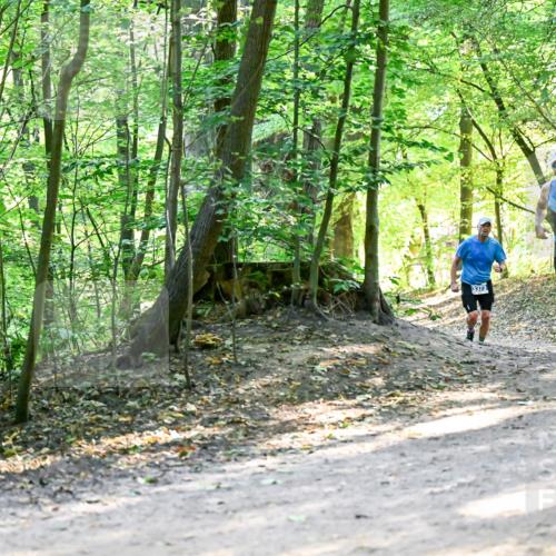 28.09.2025 - 33. Volkslauf durch das schöne Alstertal Dr. Thomas Lammeyer http://msf.ph/oto/8960671 28.09.2025 11:03:56 Laufen 3373, 3375 meine-sportfotos.de