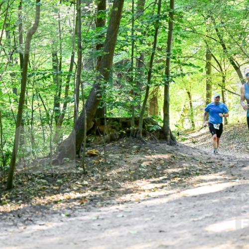28.09.2025 - 33. Volkslauf durch das schöne Alstertal Dr. Thomas Lammeyer http://msf.ph/oto/8960672 28.09.2025 11:03:56 Laufen  meine-sportfotos.de
