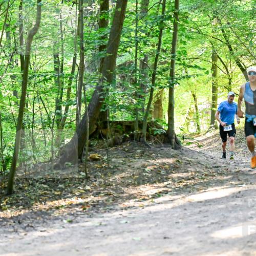 28.09.2025 - 33. Volkslauf durch das schöne Alstertal Dr. Thomas Lammeyer http://msf.ph/oto/8960674 28.09.2025 11:03:57 Laufen 3375, 3373 meine-sportfotos.de