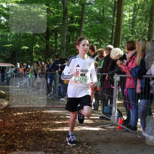 28.09.2025 - 33. Volkslauf durch das schöne Alstertal Strokosch-Dieckow http://msf.ph/oto/8960677 28.09.2025 10:50:28 Ziel 4020, 4021, 4022, 4146, 4164 meine-sportfotos.de