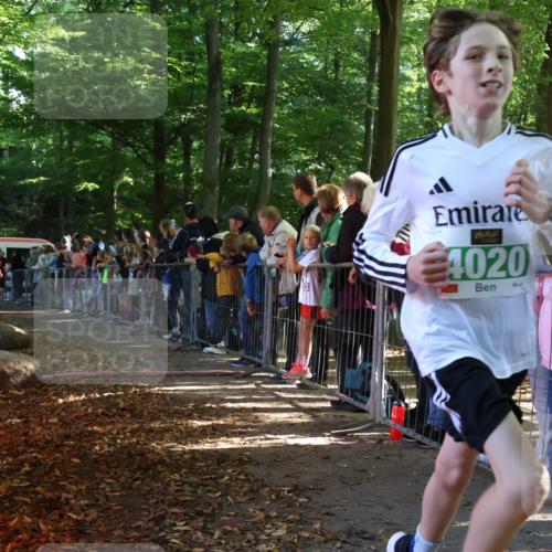 28.09.2025 - 33. Volkslauf durch das schöne Alstertal Strokosch-Dieckow http://msf.ph/oto/8960682 28.09.2025 10:50:28 Ziel 4020, 4021, 4022, 4146, 4164 meine-sportfotos.de