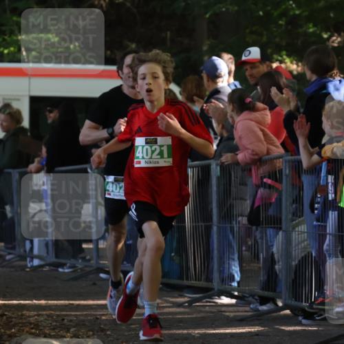 28.09.2025 - 33. Volkslauf durch das schöne Alstertal Strokosch-Dieckow http://msf.ph/oto/8960686 28.09.2025 10:50:30 Ziel 4021, 4022, 4146, 4164 meine-sportfotos.de
