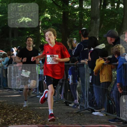 28.09.2025 - 33. Volkslauf durch das schöne Alstertal Strokosch-Dieckow http://msf.ph/oto/8960693 28.09.2025 10:50:31 Ziel 4021, 4022, 4146, 4164, 4902 meine-sportfotos.de