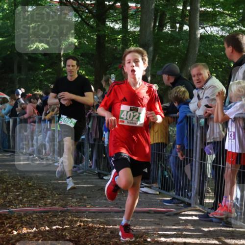 28.09.2025 - 33. Volkslauf durch das schöne Alstertal Strokosch-Dieckow http://msf.ph/oto/8960700 28.09.2025 10:50:32 Ziel 4021, 4022, 4146, 4164, 4902 meine-sportfotos.de
