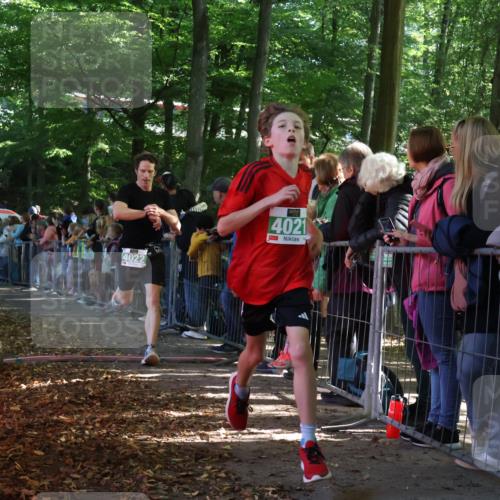 28.09.2025 - 33. Volkslauf durch das schöne Alstertal Strokosch-Dieckow http://msf.ph/oto/8960707 28.09.2025 10:50:32 Ziel 4021, 4022, 4146, 4164, 4902 meine-sportfotos.de