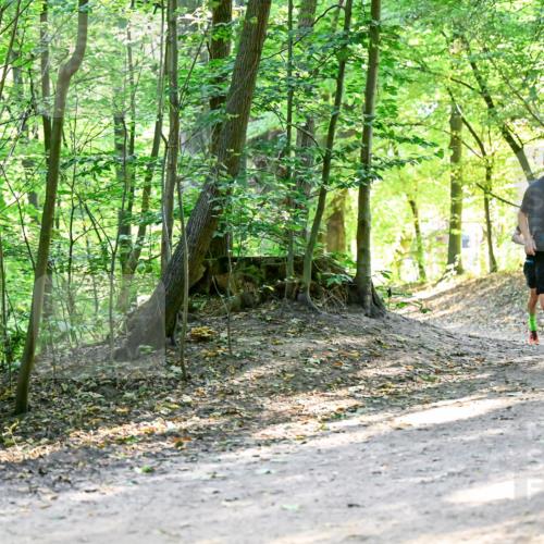 28.09.2025 - 33. Volkslauf durch das schöne Alstertal Dr. Thomas Lammeyer http://msf.ph/oto/8960709 28.09.2025 11:04:12 Laufen 3307 meine-sportfotos.de