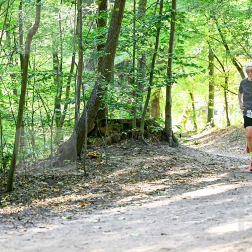 28.09.2025 - 33. Volkslauf durch das schöne Alstertal Dr. Thomas Lammeyer http://msf.ph/oto/8960710 28.09.2025 11:04:13 Laufen 307 meine-sportfotos.de