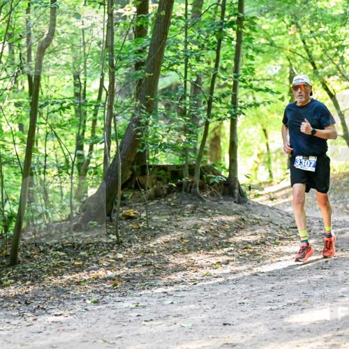 28.09.2025 - 33. Volkslauf durch das schöne Alstertal Dr. Thomas Lammeyer http://msf.ph/oto/8960712 28.09.2025 11:04:13 Laufen 3307, 3957 meine-sportfotos.de