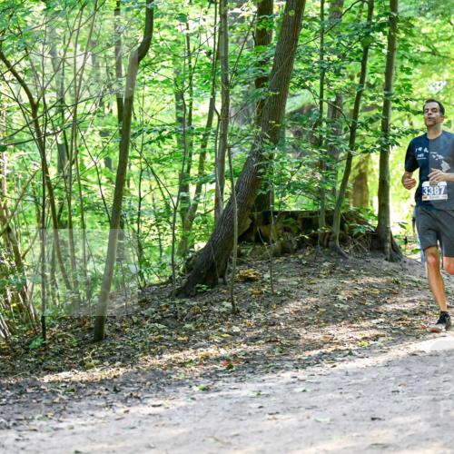 28.09.2025 - 33. Volkslauf durch das schöne Alstertal Dr. Thomas Lammeyer http://msf.ph/oto/8960727 28.09.2025 11:04:30 Laufen 3387 meine-sportfotos.de