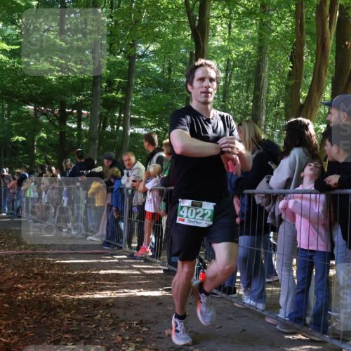 28.09.2025 - 33. Volkslauf durch das schöne Alstertal Strokosch-Dieckow http://msf.ph/oto/8960730 28.09.2025 10:50:33 Ziel 4021, 4022, 4146, 4164, 4902 meine-sportfotos.de