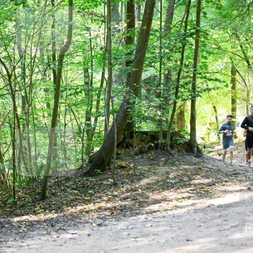 28.09.2025 - 33. Volkslauf durch das schöne Alstertal Dr. Thomas Lammeyer http://msf.ph/oto/8960744 28.09.2025 11:04:42 Laufen 3916 meine-sportfotos.de