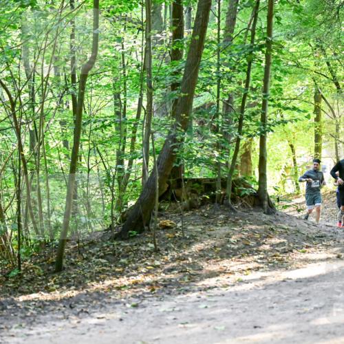 28.09.2025 - 33. Volkslauf durch das schöne Alstertal Dr. Thomas Lammeyer http://msf.ph/oto/8960746 28.09.2025 11:04:42 Laufen  meine-sportfotos.de
