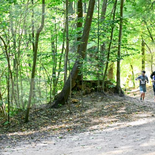 28.09.2025 - 33. Volkslauf durch das schöne Alstertal Dr. Thomas Lammeyer http://msf.ph/oto/8960747 28.09.2025 11:04:43 Laufen 3916 meine-sportfotos.de