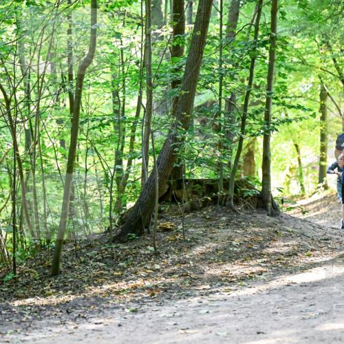 28.09.2025 - 33. Volkslauf durch das schöne Alstertal Dr. Thomas Lammeyer http://msf.ph/oto/8960754 28.09.2025 11:04:43 Laufen 3916 meine-sportfotos.de