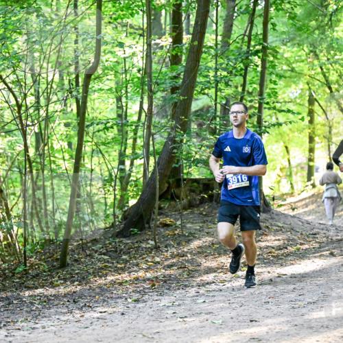 28.09.2025 - 33. Volkslauf durch das schöne Alstertal Dr. Thomas Lammeyer http://msf.ph/oto/8960764 28.09.2025 11:04:45 Laufen 3916, 31 meine-sportfotos.de