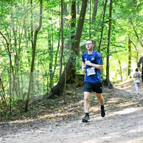28.09.2025 - 33. Volkslauf durch das schöne Alstertal Dr. Thomas Lammeyer http://msf.ph/oto/8960765 28.09.2025 11:04:45 Laufen 3916 meine-sportfotos.de