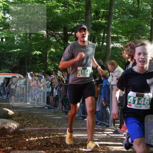 28.09.2025 - 33. Volkslauf durch das schöne Alstertal Strokosch-Dieckow http://msf.ph/oto/8960767 28.09.2025 10:50:37 Ziel 4146, 4164, 4902 meine-sportfotos.de